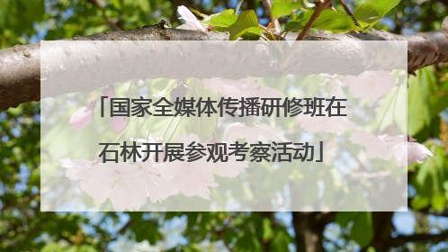 国家全媒体传播研修班在石林开展参观考察活动