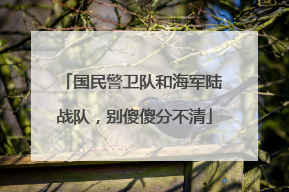 国民警卫队和海军陆战队，别傻傻分不清