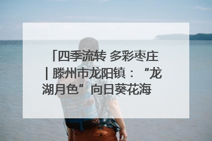 四季流转 多彩枣庄｜滕州市龙阳镇：“龙湖月色”向日葵花海 绘就乡村振兴新画卷