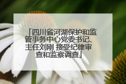 四川省河湖保护和监管事务中心党委书记、主任刘刚 接受纪律审查和监察调查