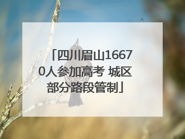 四川眉山16670人参加高考 城区部分路段管制