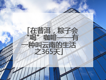 在普洱，粽子会“喝”咖啡——有一种叫云南的生活之365天