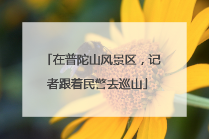 在普陀山风景区，记者跟着民警去巡山