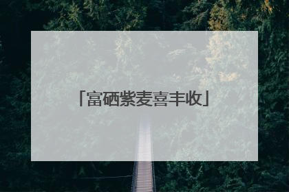 富硒紫麦喜丰收