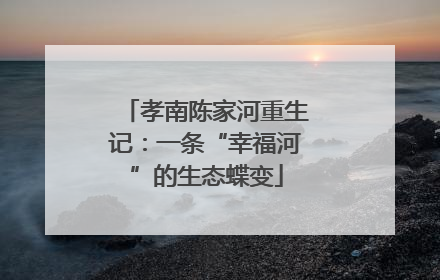 孝南陈家河重生记：一条“幸福河”的生态蝶变