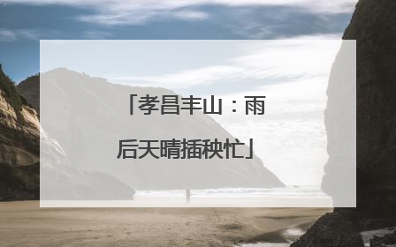 孝昌丰山：雨后天晴插秧忙