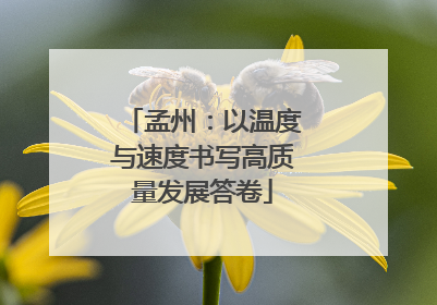 孟州：以温度与速度书写高质量发展答卷