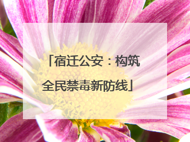 宿迁公安：构筑全民禁毒新防线