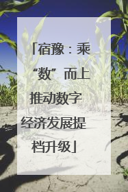 宿豫：乘“数”而上 推动数字经济发展提档升级