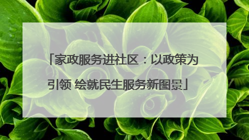 家政服务进社区：以政策为引领 绘就民生服务新图景