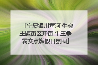 宁夏银川黄河·牛魂主题街区开街 牛王争霸赛点燃假日氛围