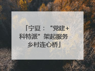 宁夏：“党建+科特派”架起服务乡村连心桥