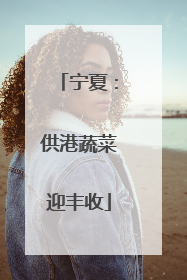 宁夏：供港蔬菜迎丰收