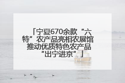 宁夏670余款“六特”农产品亮相农展馆 推动优质特色农产品“出宁进京”