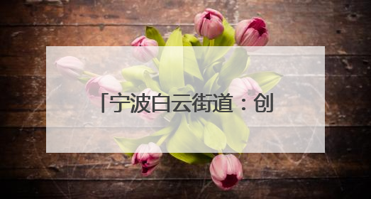 宁波白云街道：创新模式构筑“两新”群体关爱生态圈