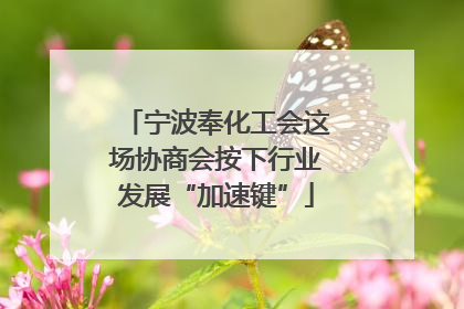 宁波奉化工会这场协商会按下行业发展“加速键”