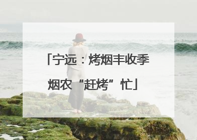 宁远：烤烟丰收季 烟农“赶烤”忙