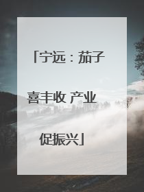 宁远：茄子喜丰收 产业促振兴