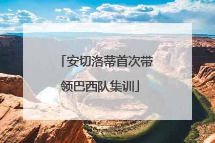 安切洛蒂首次带领巴西队集训