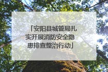 安阳县城管局扎实开展消防安全隐患排查整治行动