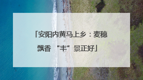 安阳内黄马上乡：麦穗飘香 “丰”景正好