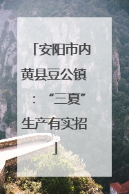 安阳市内黄县豆公镇：“三夏”生产有实招