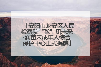 安阳市龙安区人民检察院“豫”见未来·润苗未成年人综合保护中心正式揭牌
