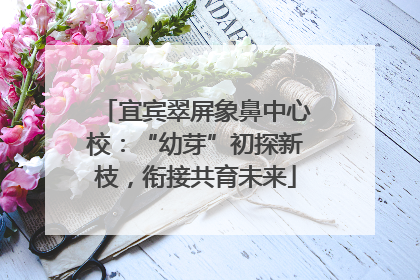 宜宾翠屏象鼻中心校：“幼芽”初探新枝，衔接共育未来