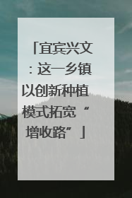 宜宾兴文：这一乡镇以创新种植模式拓宽“增收路”