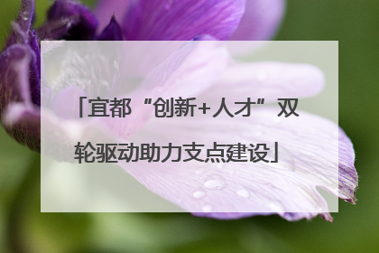 宜都“创新+人才”双轮驱动助力支点建设