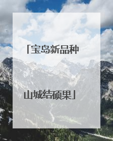 宝岛新品种 山城结硕果