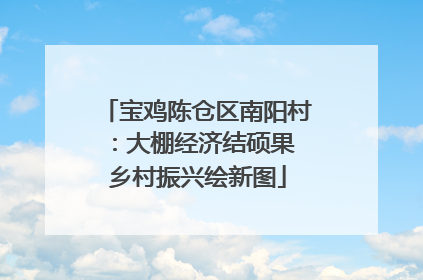 宝鸡陈仓区南阳村：大棚经济结硕果 乡村振兴绘新图