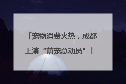 宠物消费火热，成都上演“萌宠总动员”