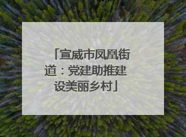 宣威市凤凰街道：党建助推建设美丽乡村