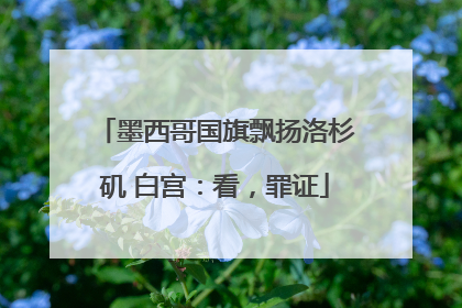 墨西哥国旗飘扬洛杉矶 白宫：看，罪证