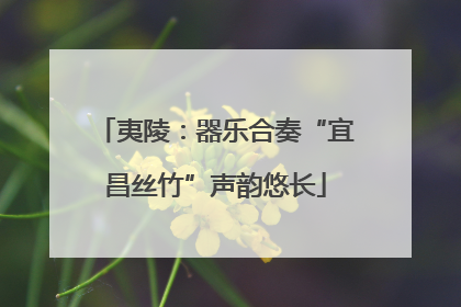 夷陵：器乐合奏“宜昌丝竹”声韵悠长