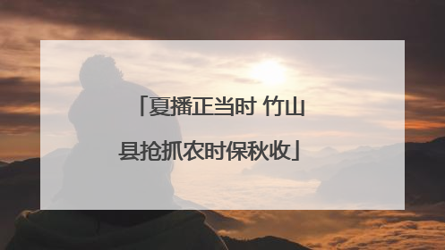 夏播正当时 竹山县抢抓农时保秋收