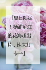 夏日限定！杨浦滨江的花海超出片，速来打卡→