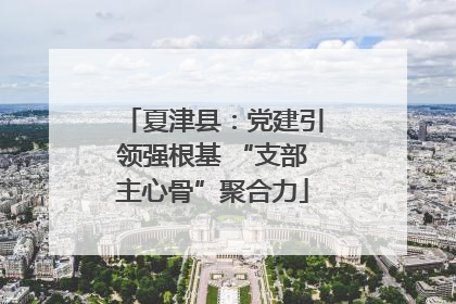 夏津县：党建引领强根基 “支部主心骨”聚合力