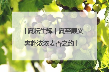 夏耘生辉｜夏至顺义奔赴浓浓麦香之约