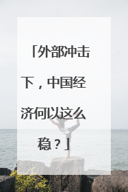 外部冲击下，中国经济何以这么稳？