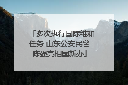 多次执行国际维和任务 山东公安民警陈强亮相国新办