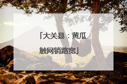 大关县：黄瓜触网销路宽