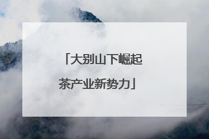 大别山下崛起茶产业新势力