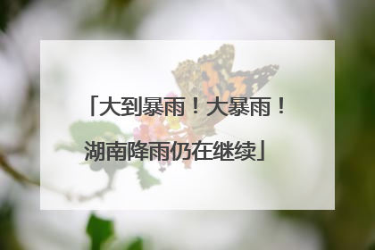 大到暴雨！大暴雨！湖南降雨仍在继续