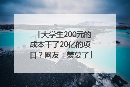 大学生200元的成本干了20亿的项目？网友：羡慕了