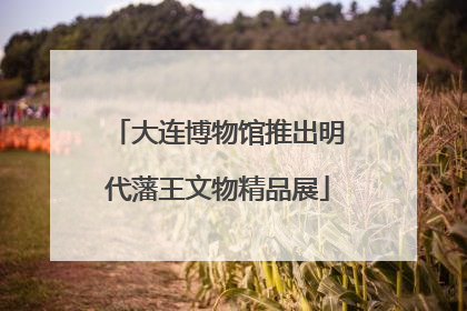 大连博物馆推出明代藩王文物精品展