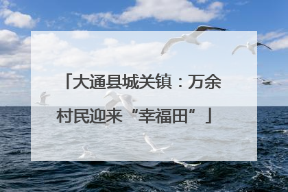 大通县城关镇：万余村民迎来“幸福田”
