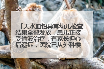 天水血铅异常幼儿检查结果全部发放，患儿正接受输液治疗，有家长担心后遗症，医院已从外科楼腾出多个病房