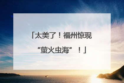 太美了！福州惊现“萤火虫海”！